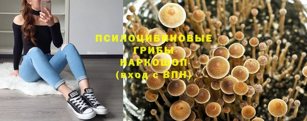 бутират Белоозёрский