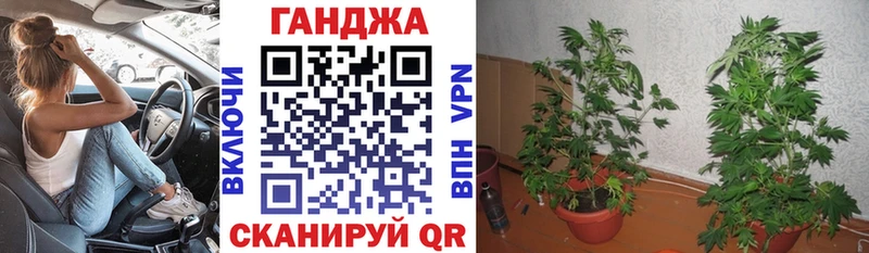 Каннабис Amnesia  Мариинский Посад 